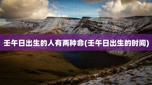 壬午日出生的人有两种命(壬午日出生的时间)