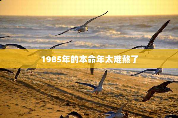 1985年的本命年太难熬了