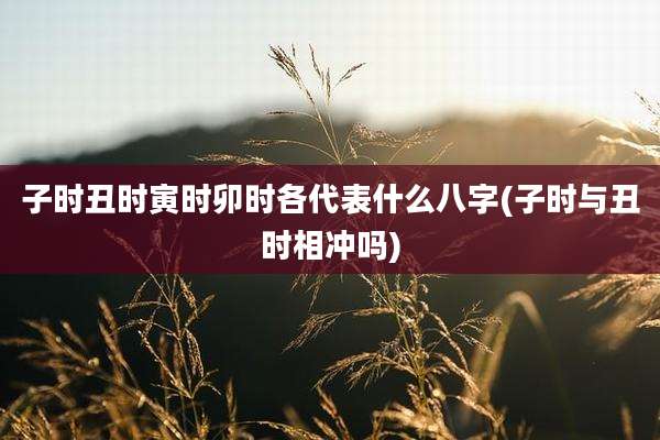 子时丑时寅时卯时各代表什么八字(子时与丑时相冲吗)
