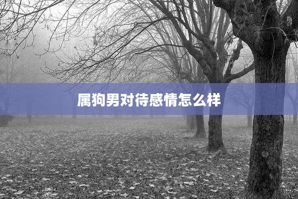 属狗男对待感情怎么样