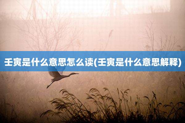 壬寅是什么意思怎么读(壬寅是什么意思解释)