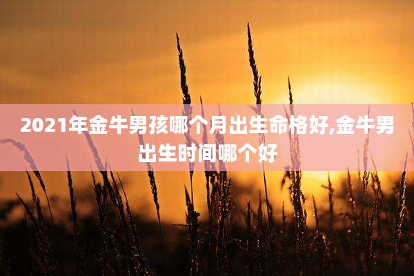 2021年金牛男孩哪个月出生命格好,金牛男出生时间哪个好