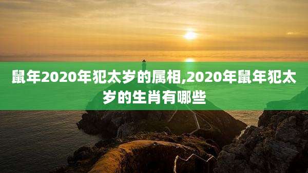 鼠年2020年犯太岁的属相,2020年鼠年犯太岁的生肖有哪些