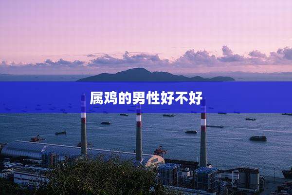 属鸡的男性好不好