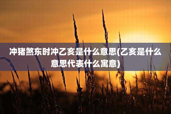 冲猪煞东时冲乙亥是什么意思(乙亥是什么意思代表什么寓意)