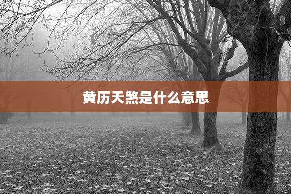 黄历天煞是什么意思