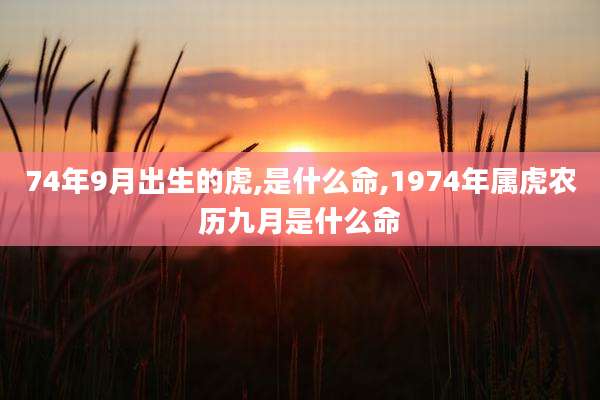 74年9月出生的虎,是什么命,1974年属虎农历九月是什么命