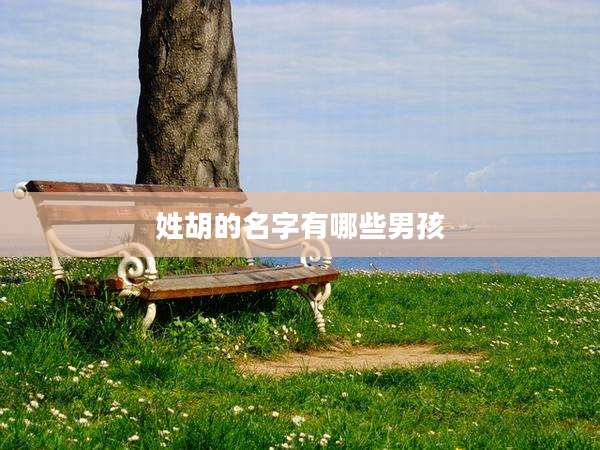 姓胡的名字有哪些男孩