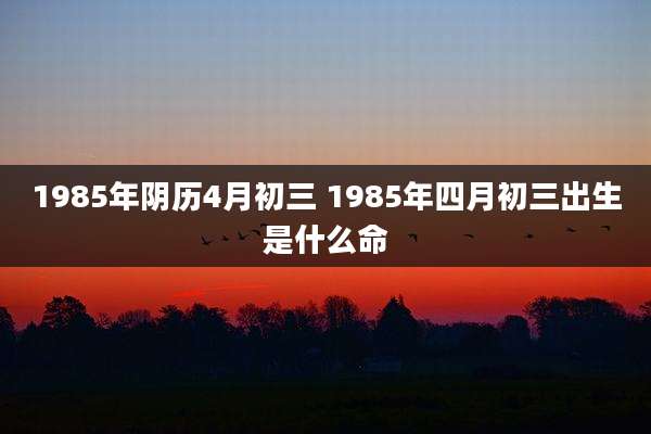 1985年阴历4月初三 1985年四月初三出生是什么命