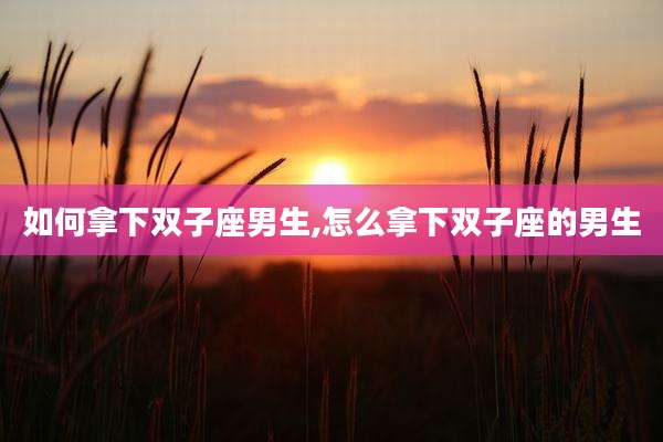 如何拿下双子座男生,怎么拿下双子座的男生
