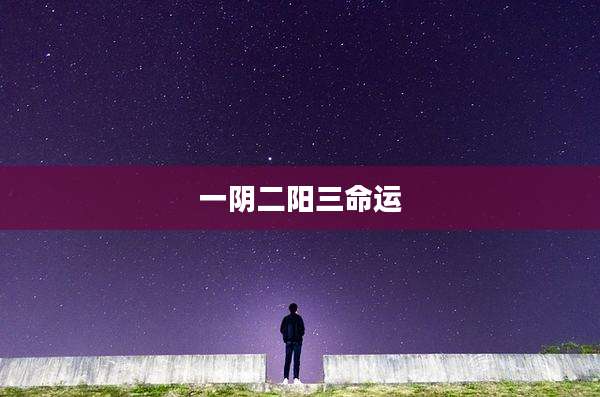 一阴二阳三命运