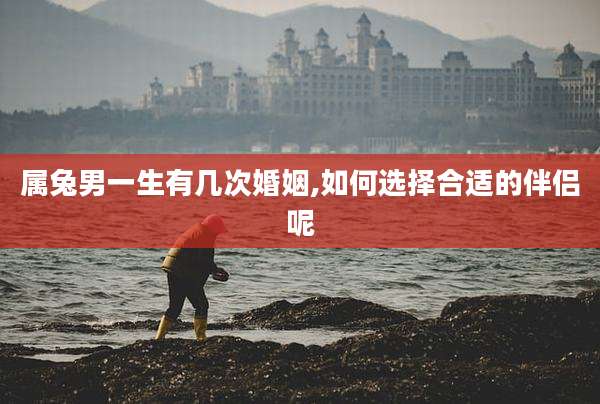 属兔男一生有几次婚姻,如何选择合适的伴侣呢