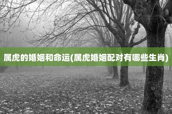 属虎的婚姻和命运(属虎婚姻配对有哪些生肖)