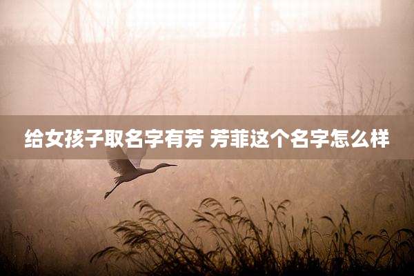 给女孩子取名字有芳 芳菲这个名字怎么样