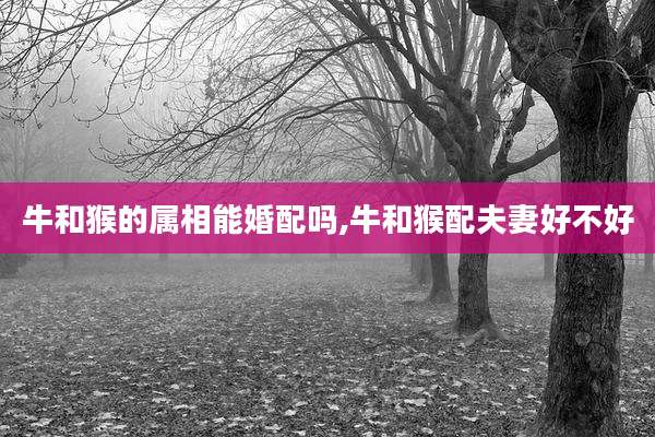 牛和猴的属相能婚配吗,牛和猴配夫妻好不好