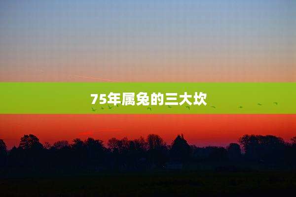 75年属兔的三大坎