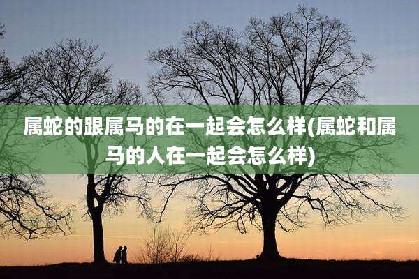 属蛇的跟属马的在一起会怎么样(属蛇和属马的人在一起会怎么样)