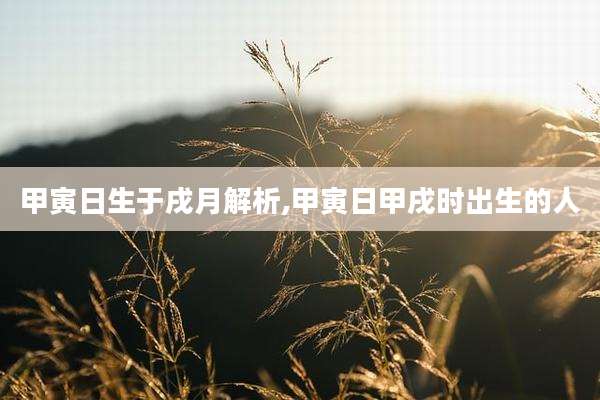 甲寅日生于戌月解析,甲寅日甲戌时出生的人