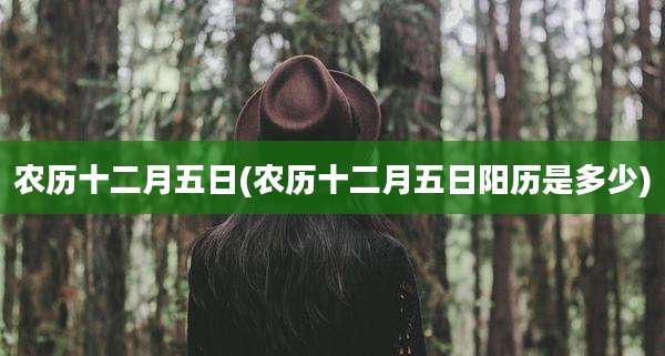 农历十二月五日(农历十二月五日阳历是多少)
