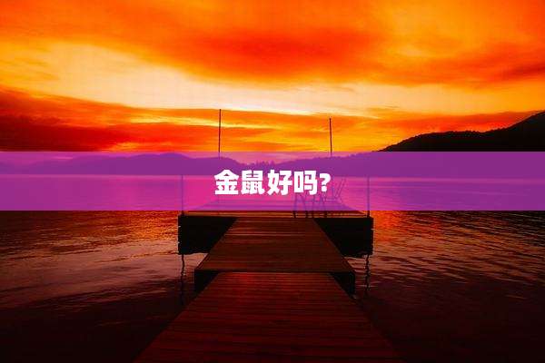 金鼠好吗?