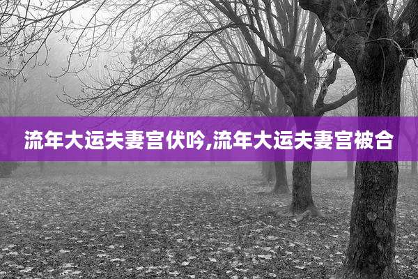流年大运夫妻宫伏吟,流年大运夫妻宫被合