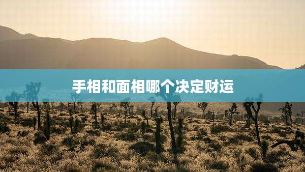 手相和面相哪个决定财运