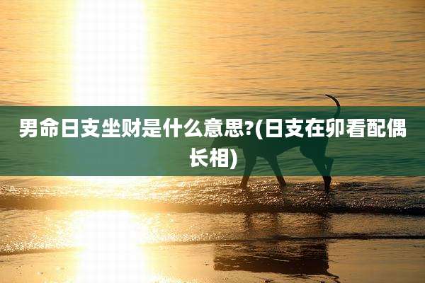 男命日支坐财是什么意思?(日支在卯看配偶长相)