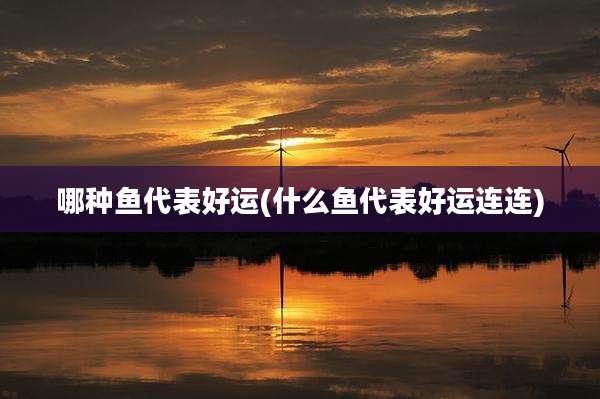 哪种鱼代表好运(什么鱼代表好运连连)