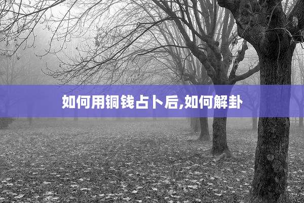 如何用铜钱占卜后,如何解卦