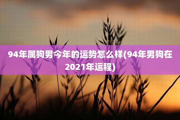 94年属狗男今年的运势怎么样(94年男狗在2021年运程)