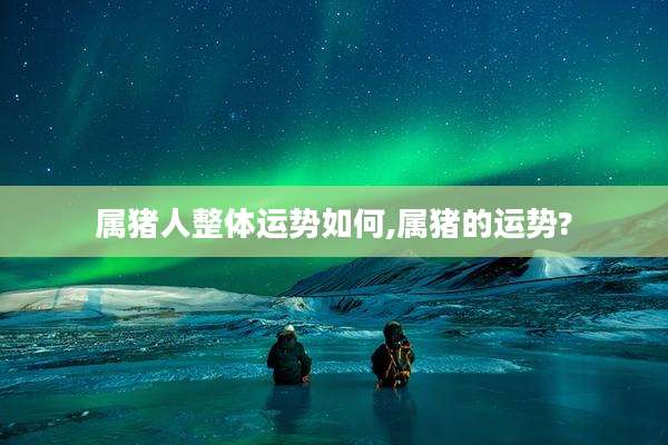 属猪人整体运势如何,属猪的运势?