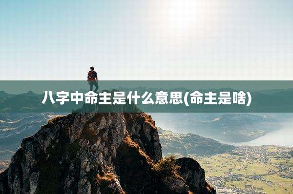 八字中命主是什么意思(命主是啥)