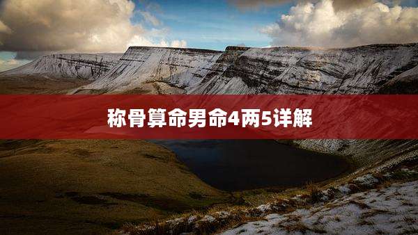 称骨算命男命4两5详解