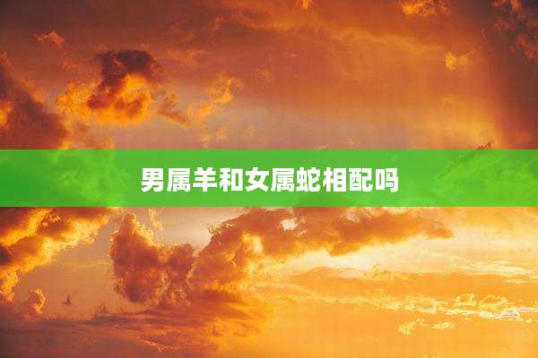 男属羊和女属蛇相配吗