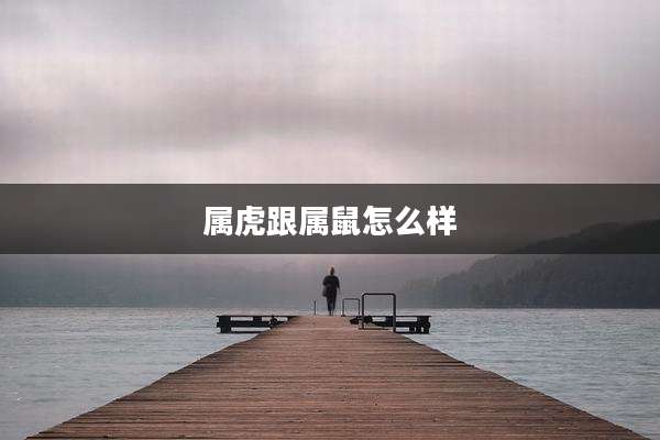 属虎跟属鼠怎么样