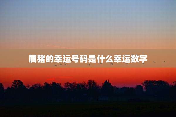 属猪的幸运号码是什么幸运数字