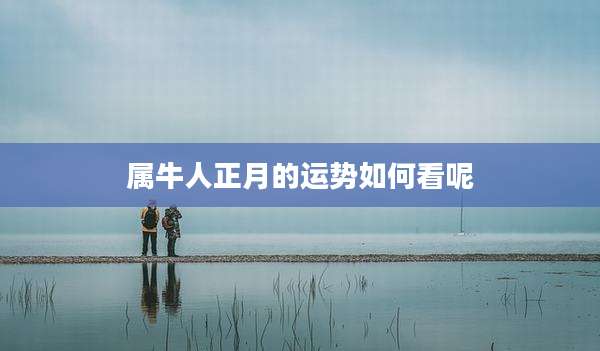 属牛人正月的运势如何看呢