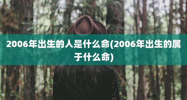 2006年出生的人是什么命(2006年出生的属于什么命)