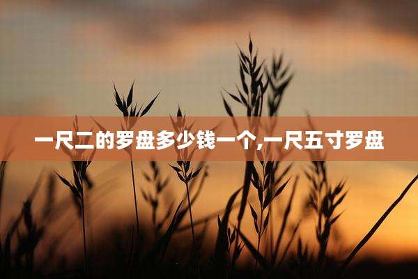 一尺二的罗盘多少钱一个,一尺五寸罗盘