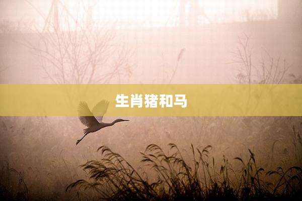 生肖猪和马