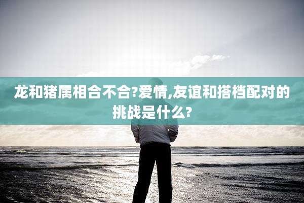 龙和猪属相合不合?爱情,友谊和搭档配对的挑战是什么?