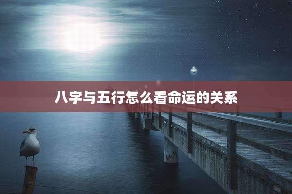 八字与五行怎么看命运的关系