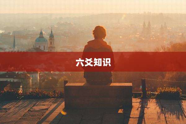 六爻知识