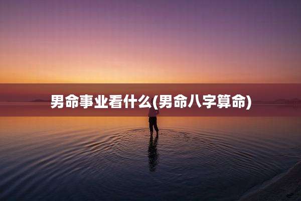 男命事业看什么(男命八字算命)