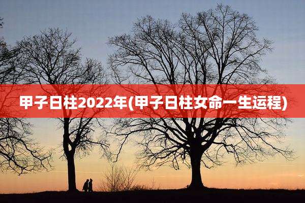 甲子日柱2022年(甲子日柱女命一生运程)