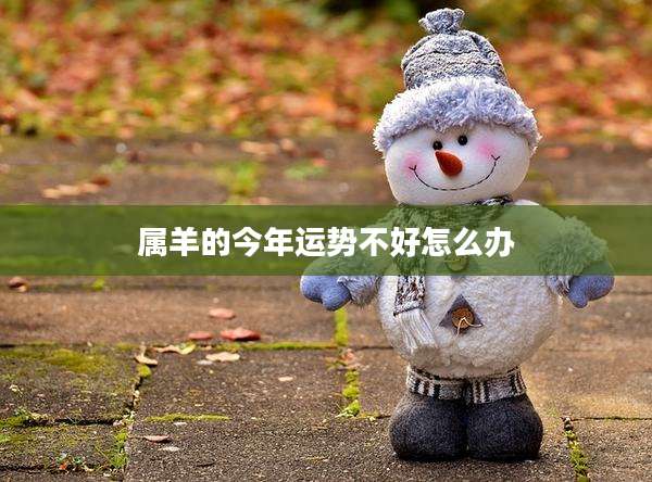 属羊的今年运势不好怎么办