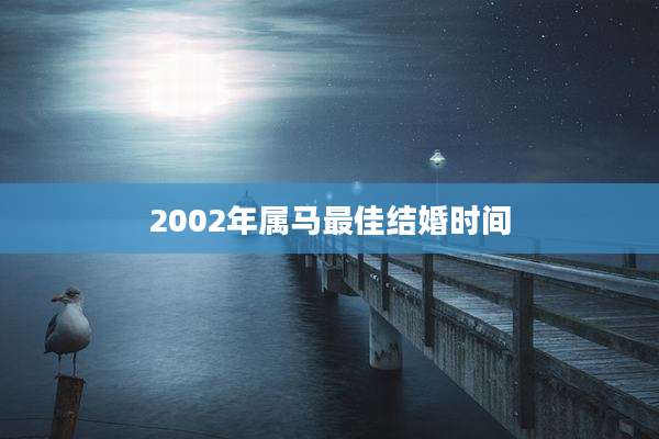2002年属马最佳结婚时间