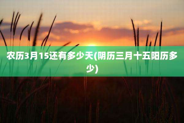 农历3月15还有多少天(阴历三月十五阳历多少)