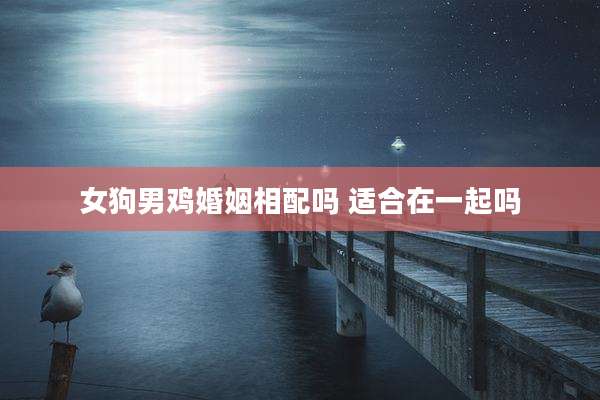 女狗男鸡婚姻相配吗 适合在一起吗