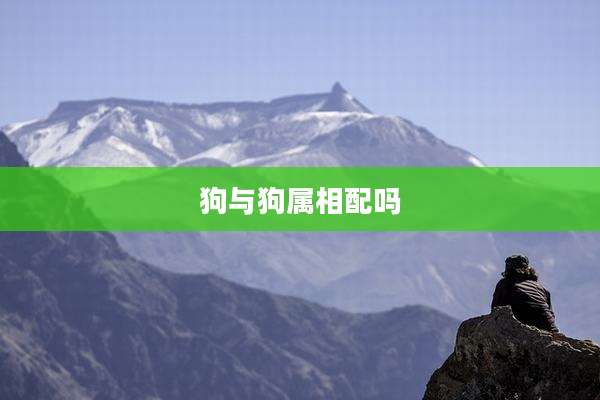狗与狗属相配吗